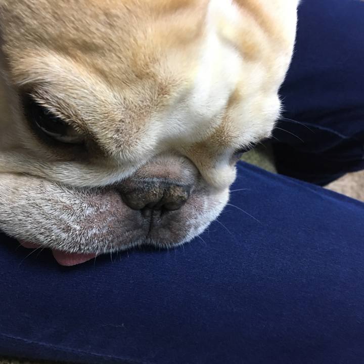 4623f546 07a3 4b21 9509 c26460cfa376