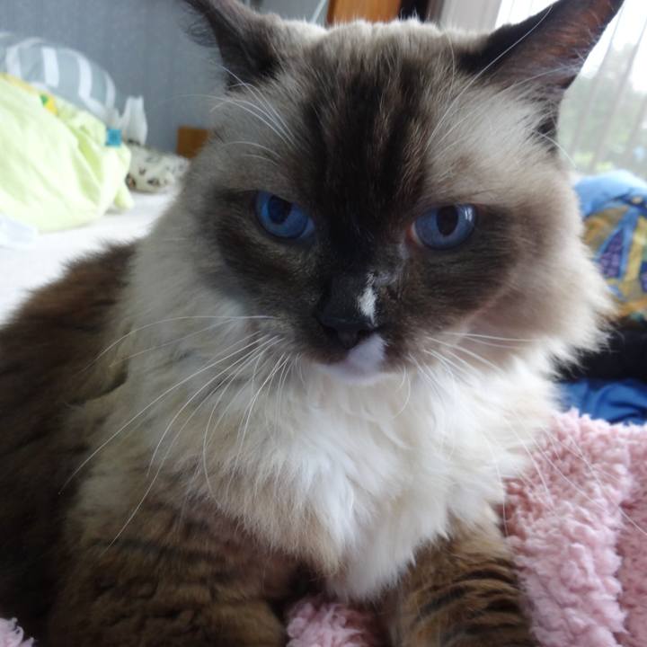 46243192 97ff 49e4 be43 28cefd83801a