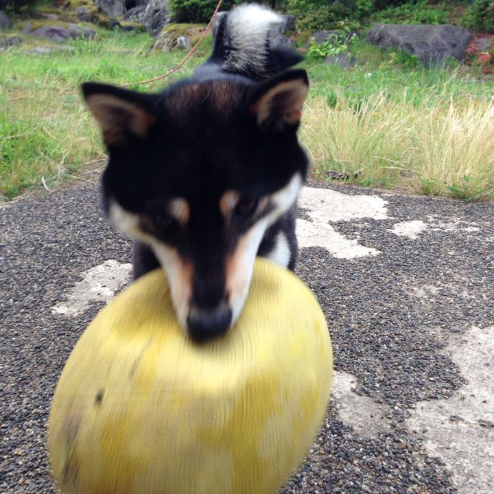 46244165 c6ed 48c0 9941 304324dead34