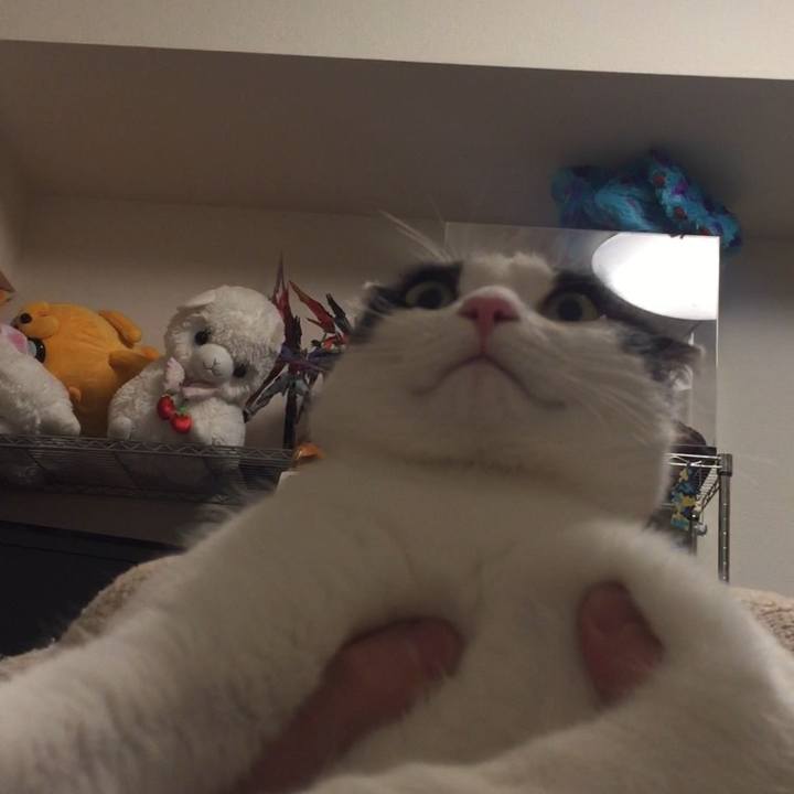 46246dfc 3c47 4037 87d8 c4cbef4d2af6