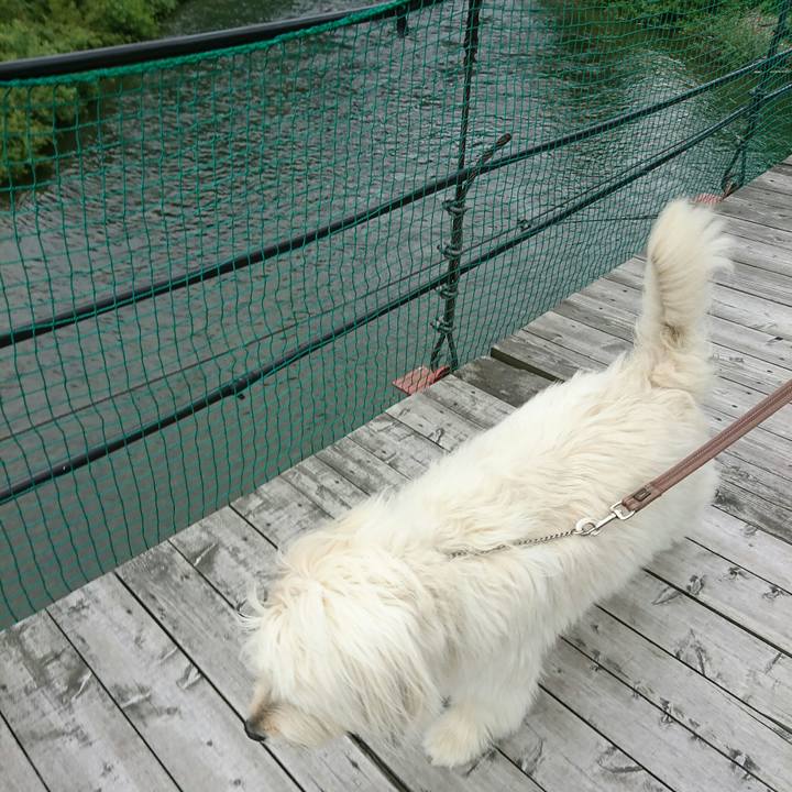 46248215 d1ad 4658 9594 c59bbb310424