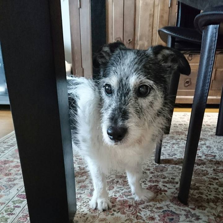 4624a8c7 3bab 4538 8663 01a9b24056fc