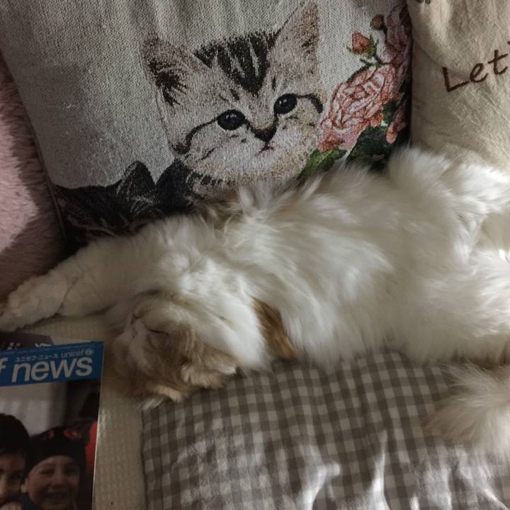 46268f82 8519 4993 b15e 87788fc7c06e