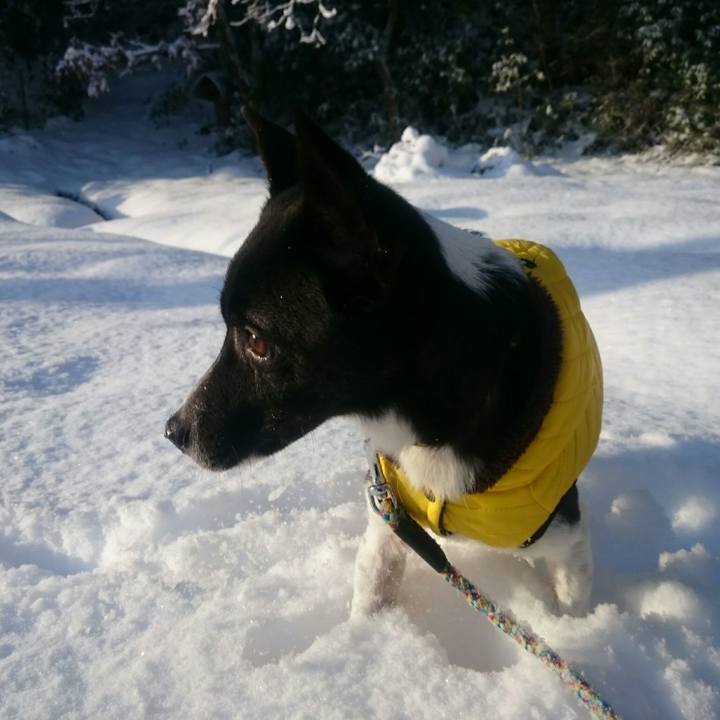 462704b8 c0fe 413c 8984 be3dbb3fe8c6