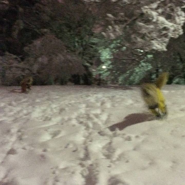 46275bcf a044 4b19 a81a af21c4dd3809