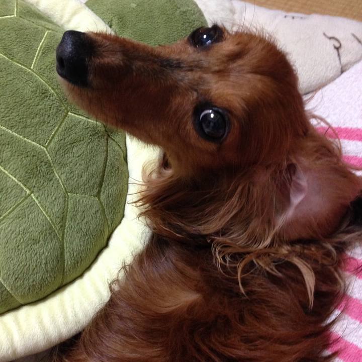 4627c174 ddbd 4492 9ccd 8419e01fac97