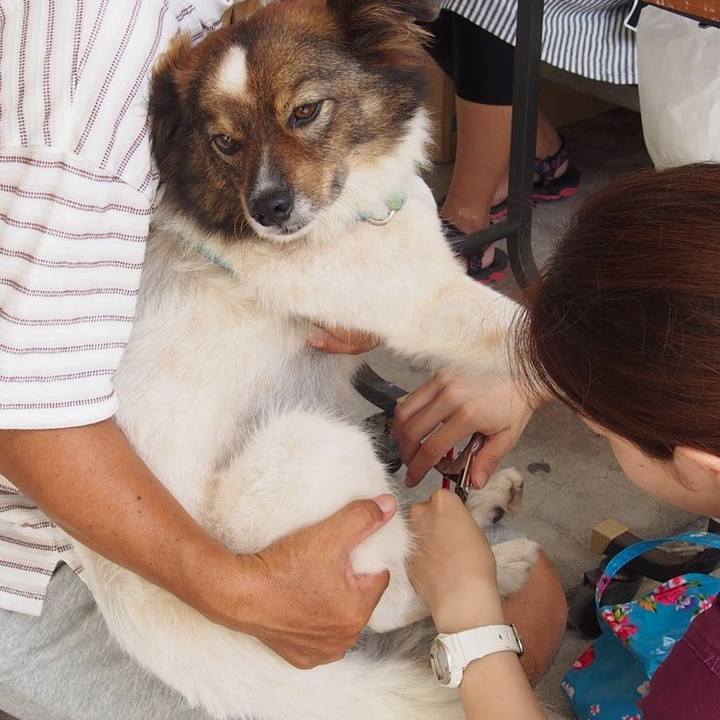 46282c07 d24a 448c 836a bc605b15dfcc