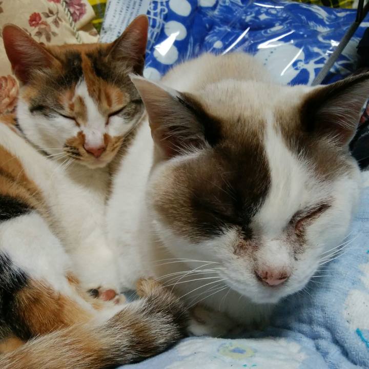 46284ad6 4907 4dc5 9d4e a8704add27b0