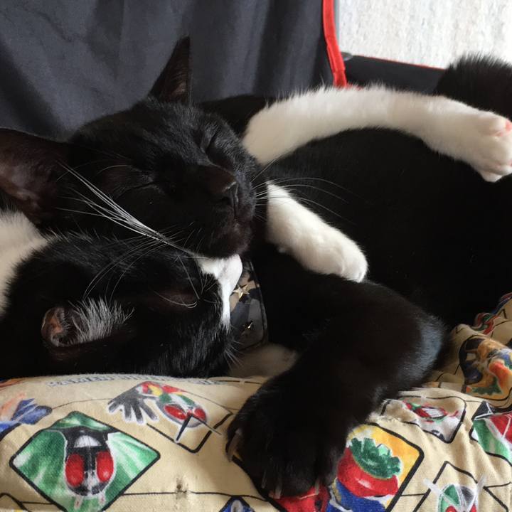 4628cd88 755c 4545 bc60 53d3d9c199e1