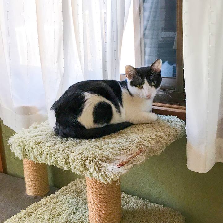 46298958 73c5 48c3 b9df ad1f00262e58