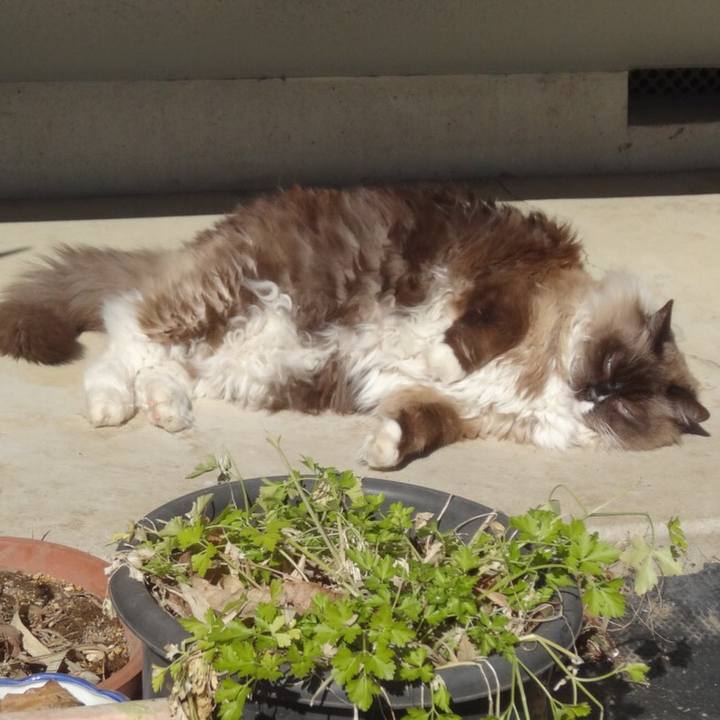 462997d0 c17f 413e 990e d7a42a5416df