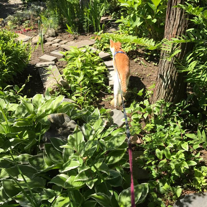 4629b9eb ecbf 449d abc6 80e288330ed3