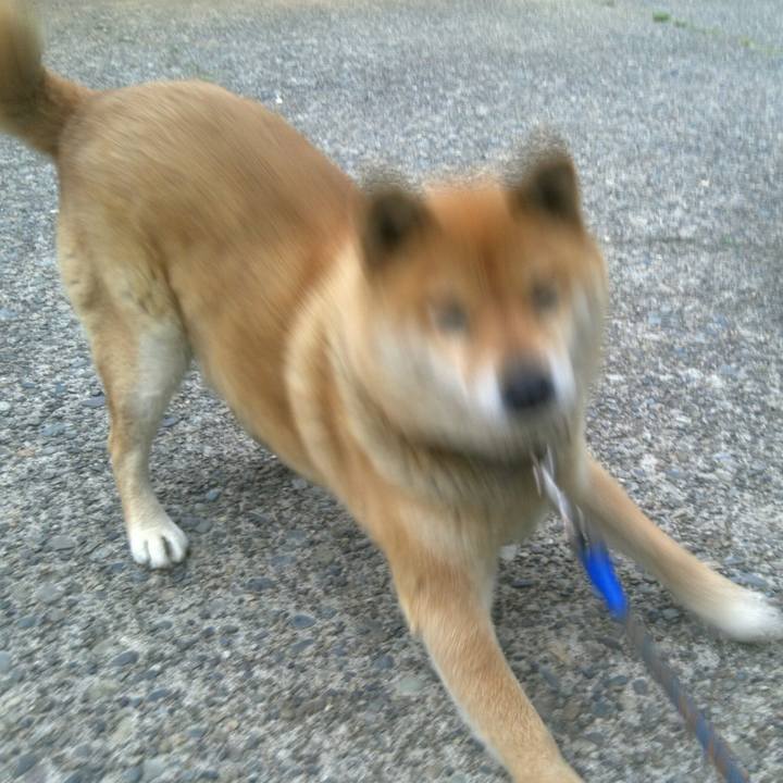 4629f8e3 2596 436c a42f 1e04df3a2e88