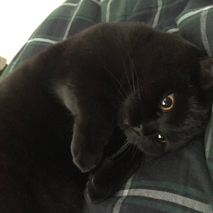 462a6e61 c7e3 4840 b6d9 3a8112521162