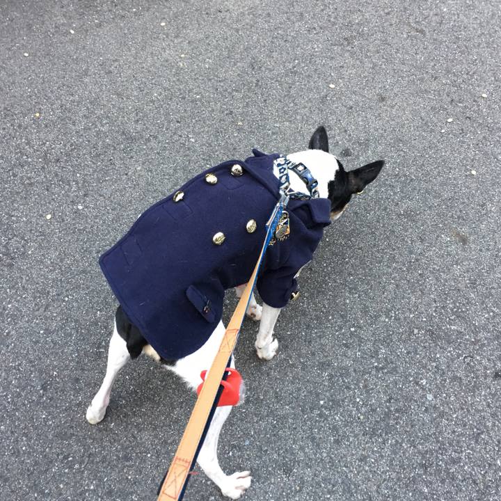 462a718f 2600 47b5 ba85 e0696c81b399