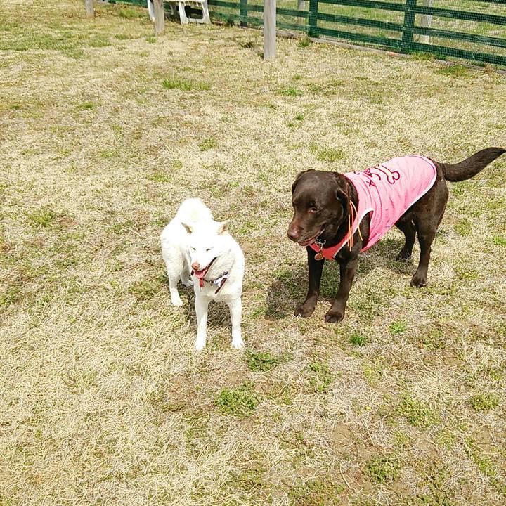 462a7cb6 7512 4add a750 3c7e723d985a