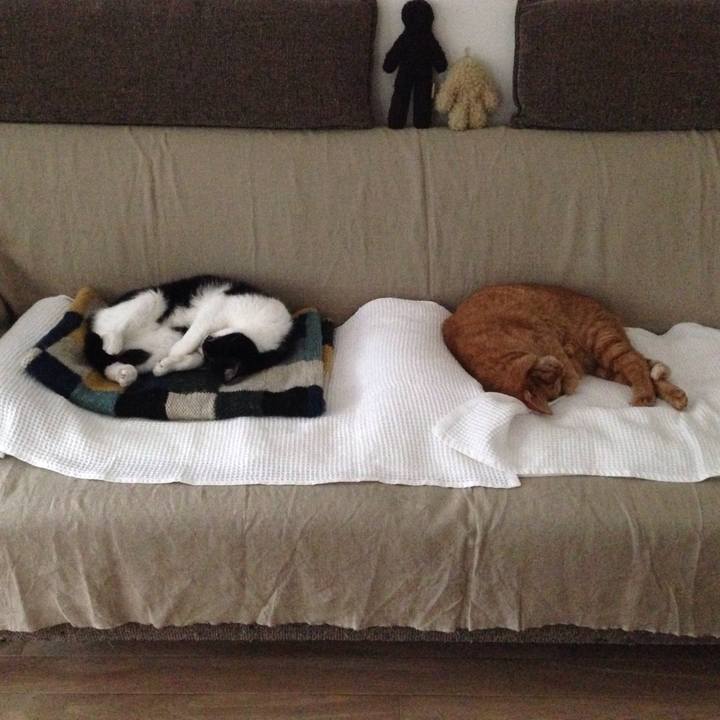 462a862d bafb 4334 b50a 8c6877a1b963