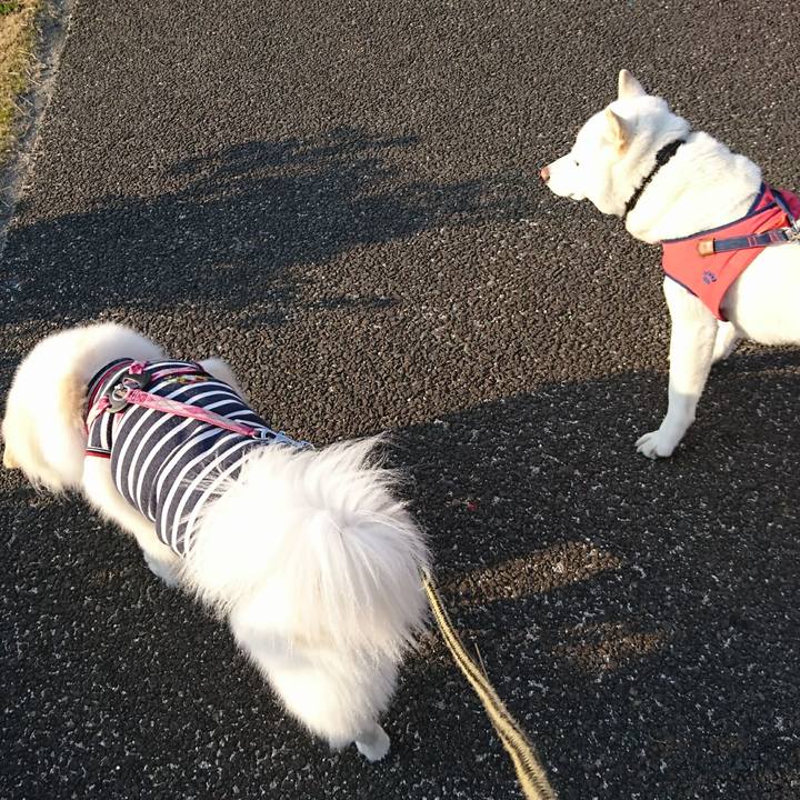 462a9199 c5f8 4a72 a0be a78b80a4dda0