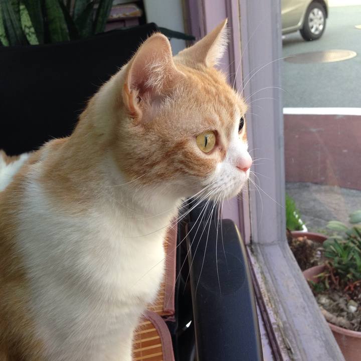 462b97e4 fdcb 4bcc a0af 7d727ef6c2b8