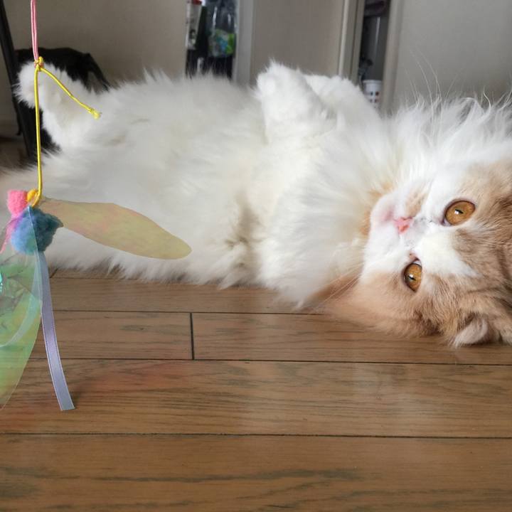 462c2d9c 65ed 4bef a7fc e1bdec09db5d