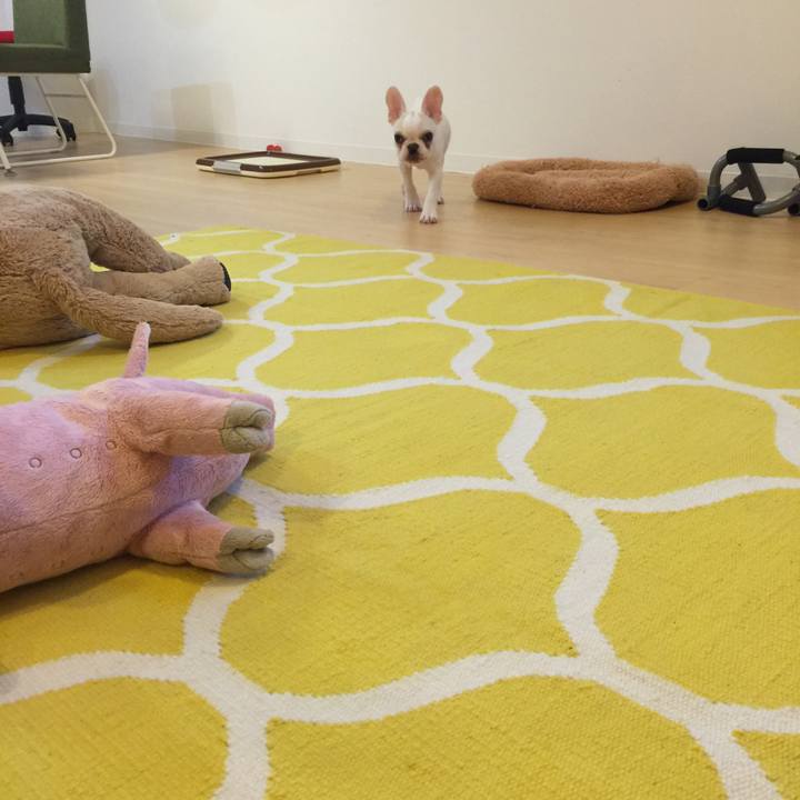 462d1b8f ee2c 42e1 9ebe 826d578adb2f