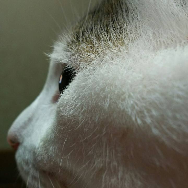 462d2434 05c5 46ff bb48 f5efe8fff31b