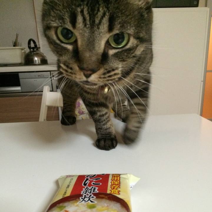 462db233 2705 4c86 a45e 232cda9aea5e