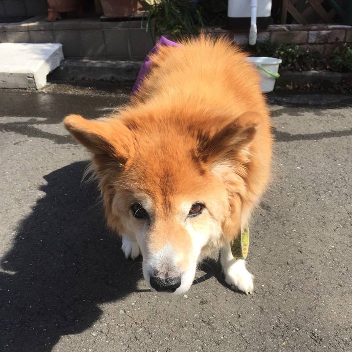 462e193d 20b8 4961 929a af2da8914f87