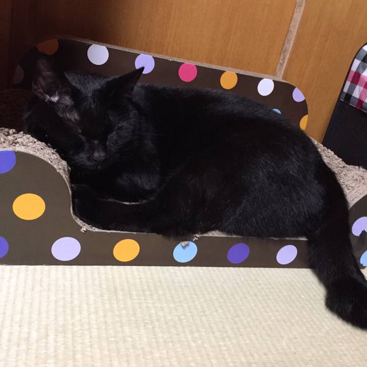 462f9525 d4ba 4d05 ab10 472f8a69dd4a