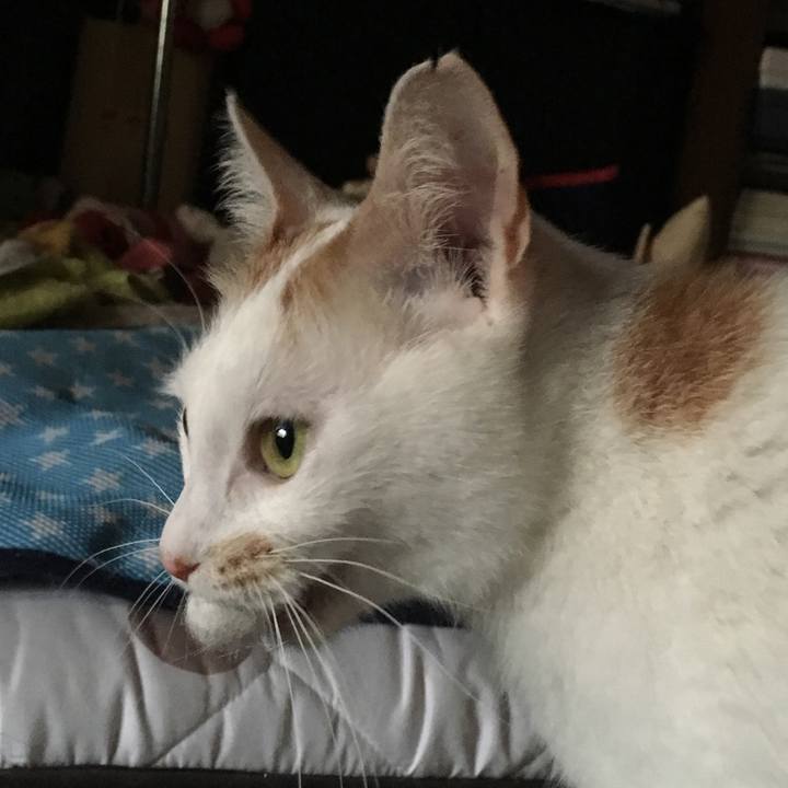 462fa5f7 99df 48b1 9122 5495fbe4ba80