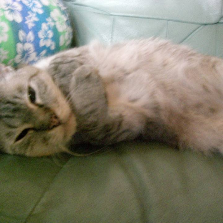 463026d7 5dc8 43ad ad66 fcfbc4467b3c