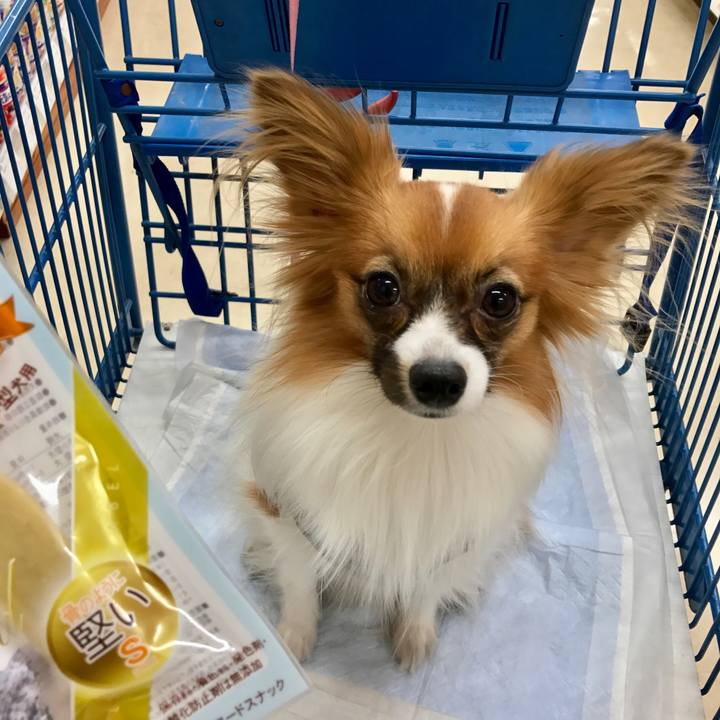 46303555 9b61 447e 928c 6e357421c015