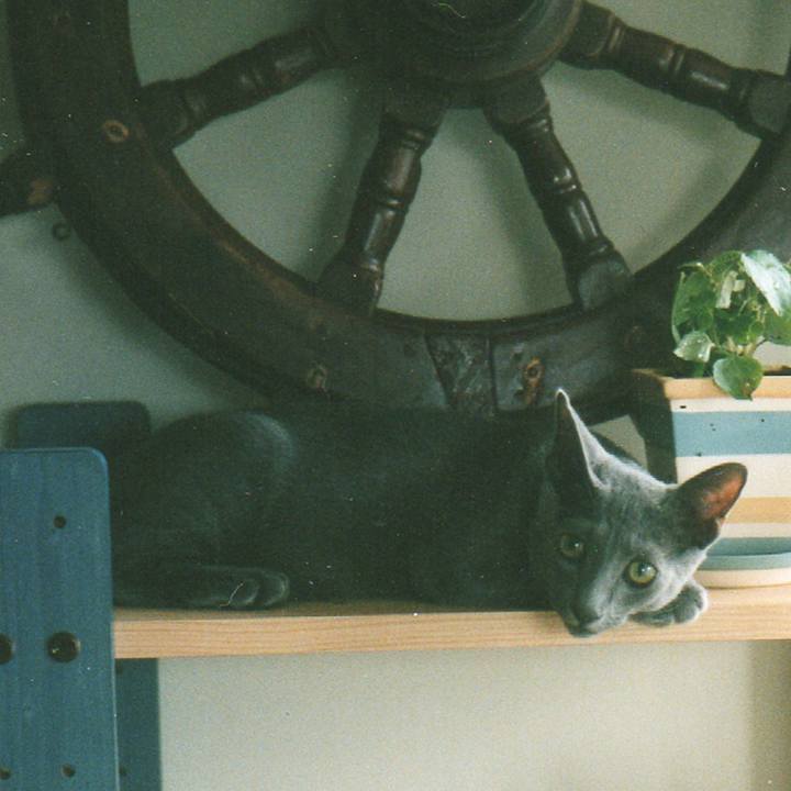 4630bd85 1955 4976 a0a6 e6ec4d1c5f3b