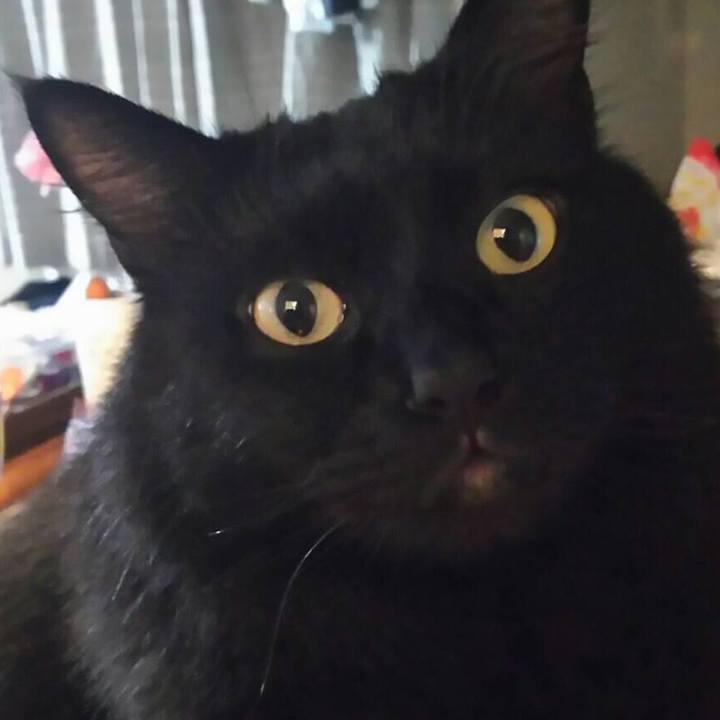 46311984 2391 4c94 81a8 c64c4ab4e997