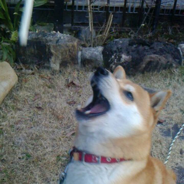 463189b3 f761 4694 8dd4 b515322f58b9