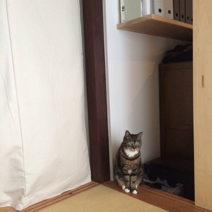 4632e302 8190 44d4 8e29 2e9e337eb9b7