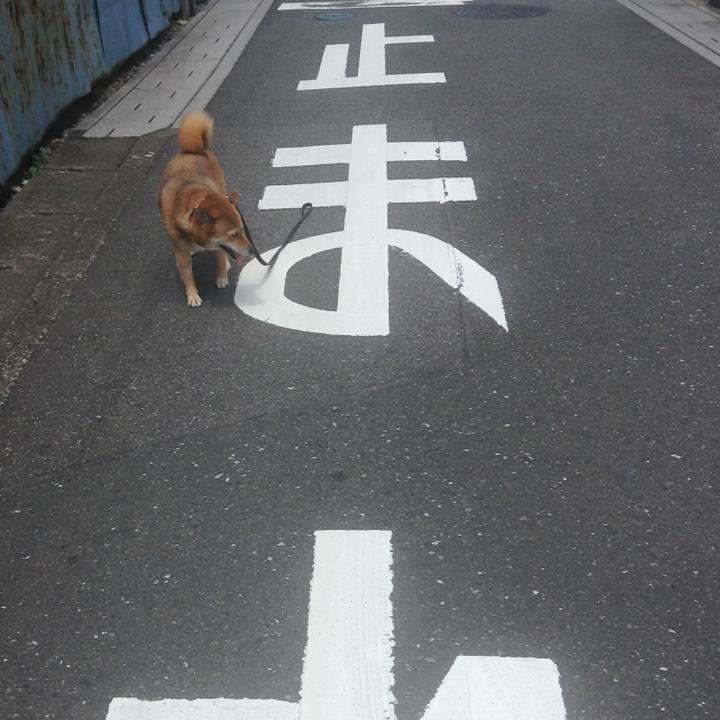 46335509 5745 4ba4 96f8 ba299a0e40fc