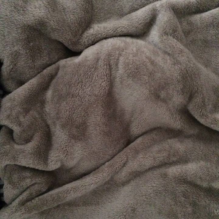 46339296 e852 41f4 bff4 a26ae7d55acf