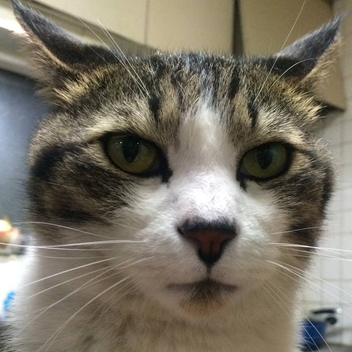 46341ed8 6278 4a5c 917d 16b5fd19d519