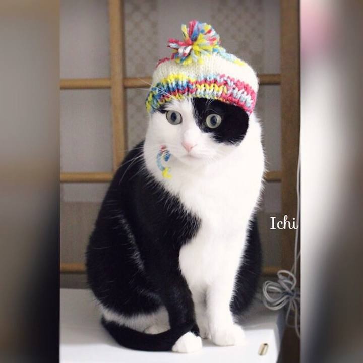 46343b8d 2382 4a0e b963 2a4265fa78e5