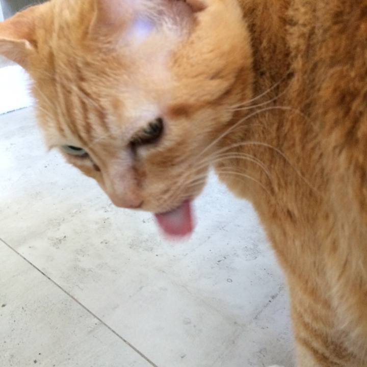 463539c9 0185 4df2 a382 d1ff11827995