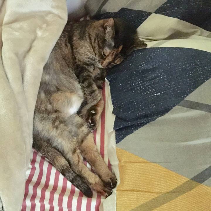 46354130 a8f3 4e1b 8347 8245d0bbf23b