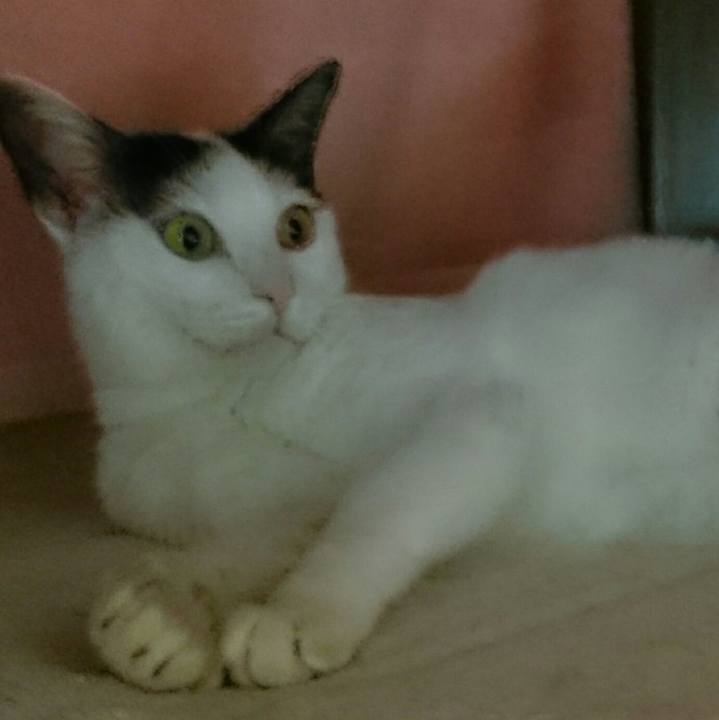 46354b07 250f 4b01 834c 846c16a40a53