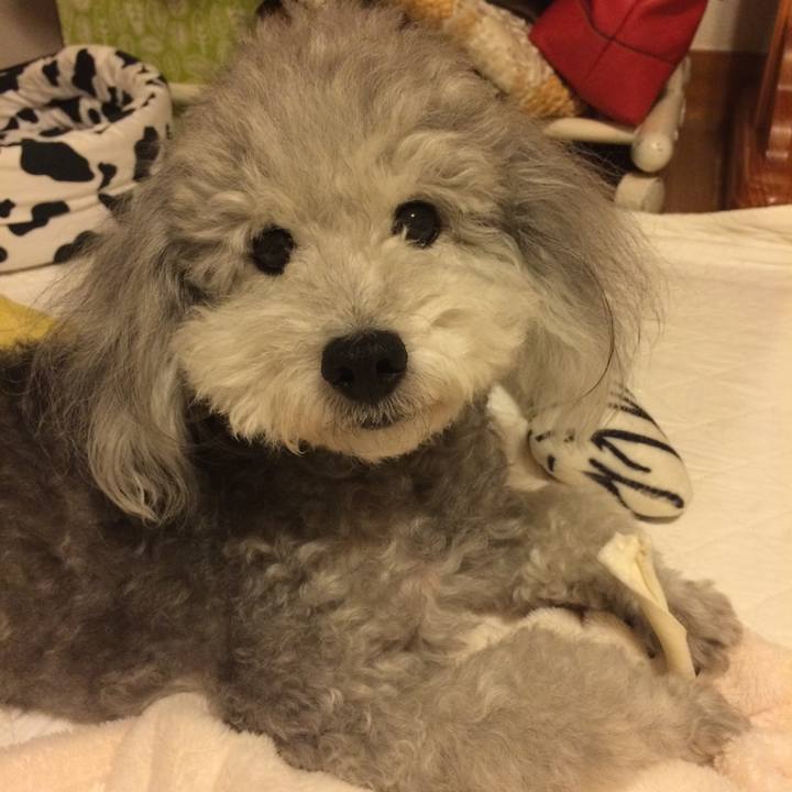 4636af8a 020f 49d1 ae18 bf71603f24b6