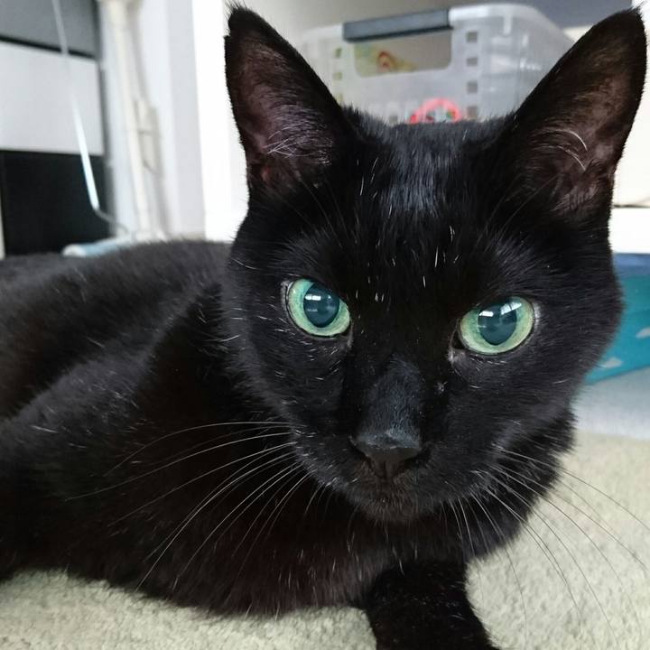 46381904 22f3 4e3d 9e2f 784a7688c044