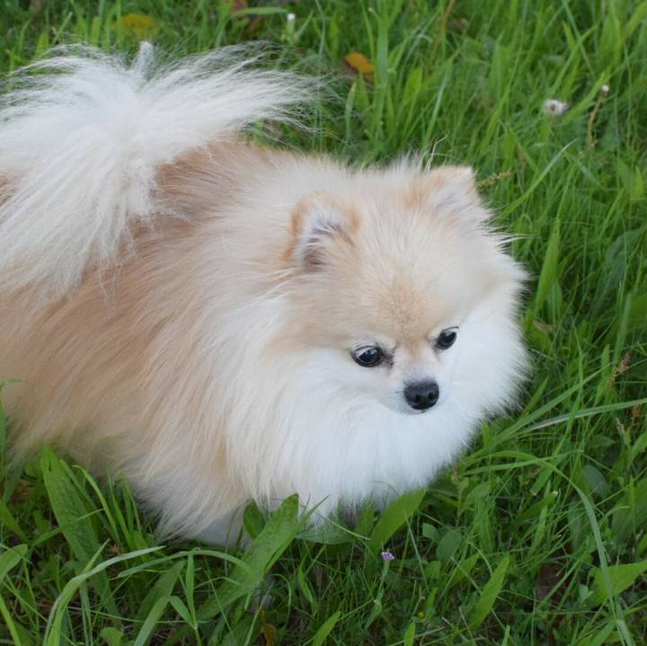 463907a6 d655 4cb7 931f 1d3f1c626c33