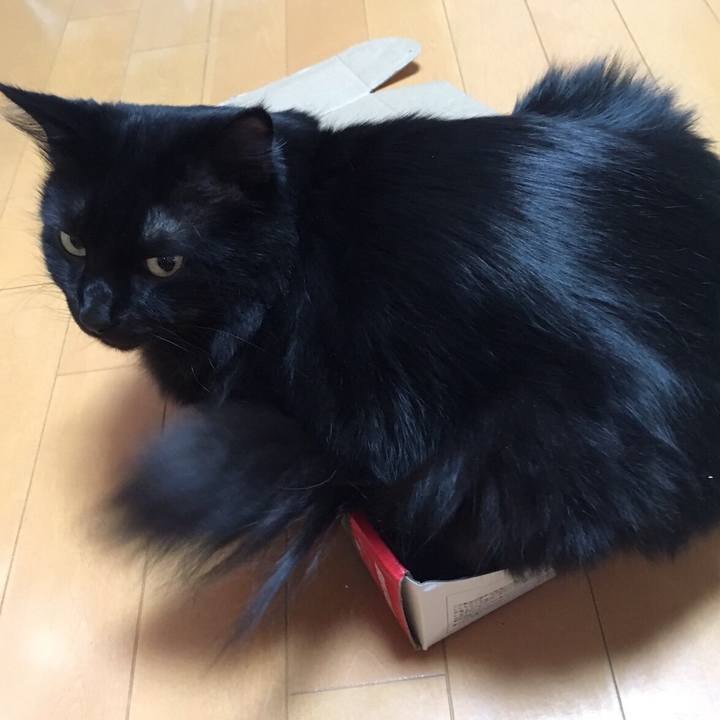 46391e16 bbfb 4b52 a7c3 e802b3c092b1