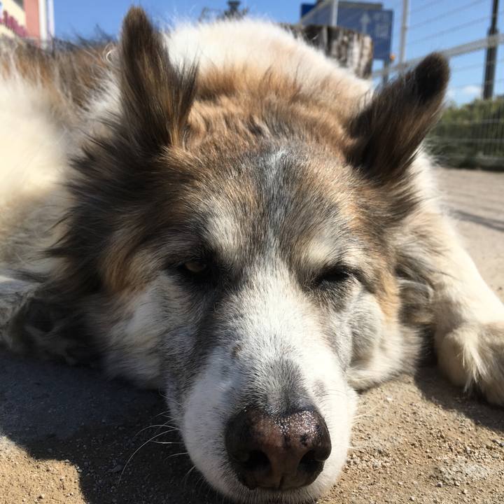 46392f77 0896 452a b1c3 139245f7c4be