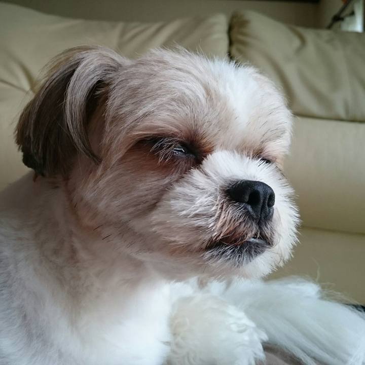 46398ce9 b943 44a3 bfc1 519a16324174