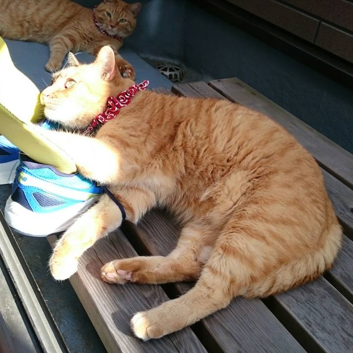 463a2a10 6559 432f 9231 b00a8b34dc95